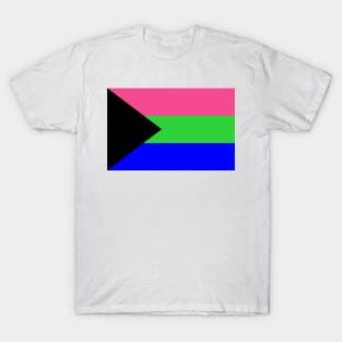 Demi-Polysexual Pride Flag T-Shirt